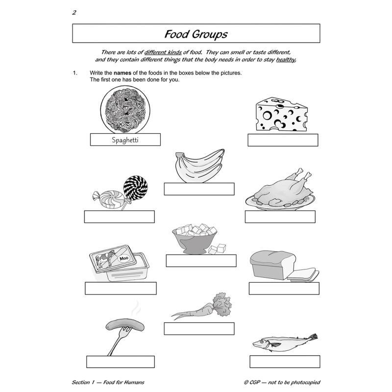 KS2 Science Year Three Workout - огляд і ціна Nutrition Workout