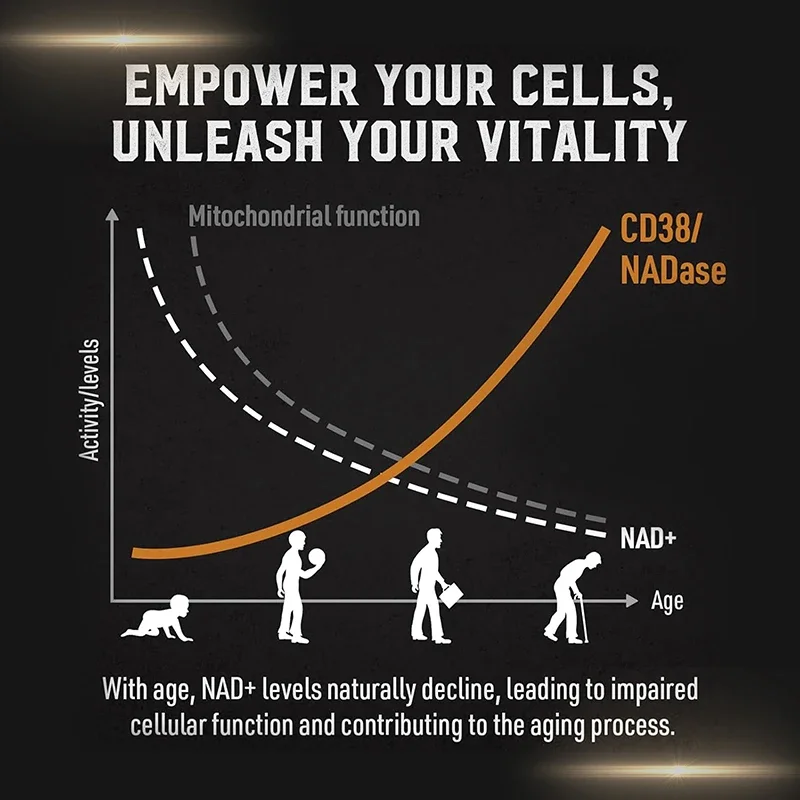 Liposomal NAD Supplement - Sup - огляд і ціна Pre Workout Supplement