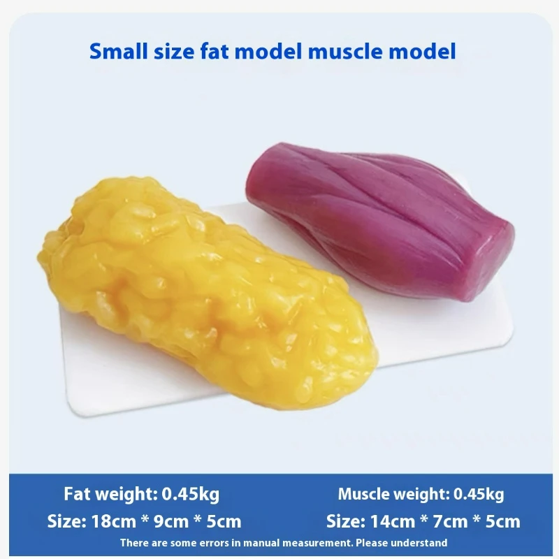 Human Muscle and Fat Replicas  - огляд і ціна Nutrition Of Fitness